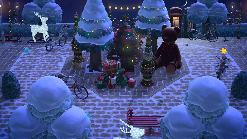 Poinsettia's markets