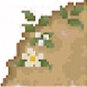 Dirt and flower path