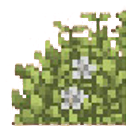 Grass path