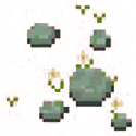 Rocks