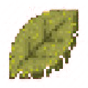 Big leaf