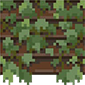 Ivy stall