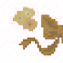 Ribbon