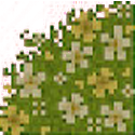 Flower Path