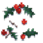 Holly branches