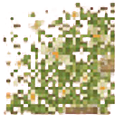 Grass path